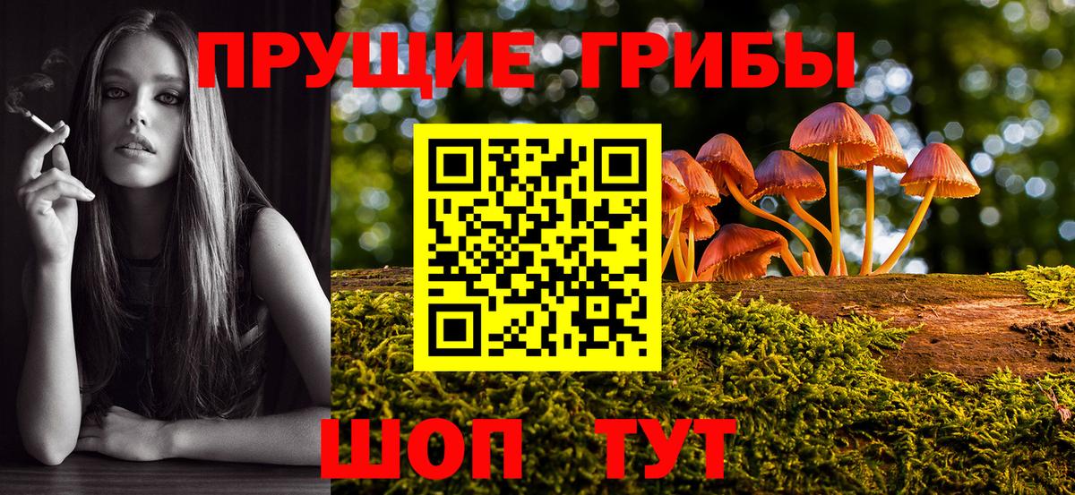 магазин продажи наркотиков  Вход с VPN  Ярославль  Галлюциногенные грибы мухоморы 