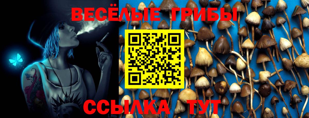 Галлюциногенные грибы ЛСД Ярославль