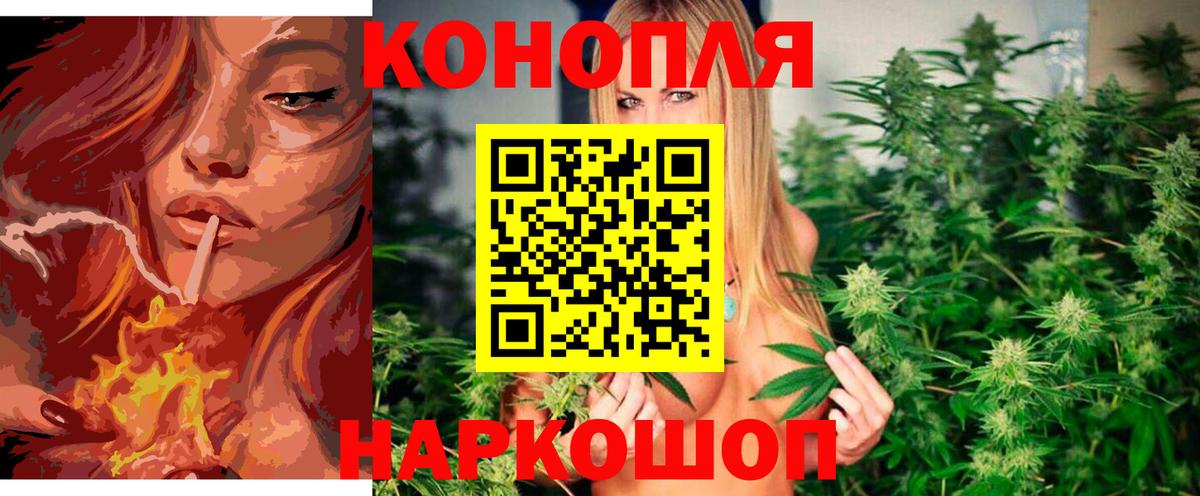 Шишки марихуана White Widow  Вход с VPN  Ярославль  Каннабис сатива 